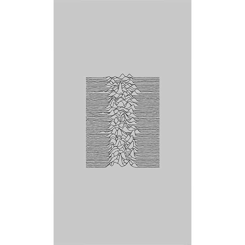 Πίνακας σε καμβά Joy Division Unknown Pleasures Grey